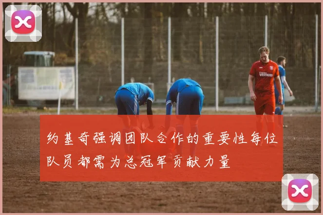 约基奇强调团队合作的重要性每位队员都需为总冠军贡献力量