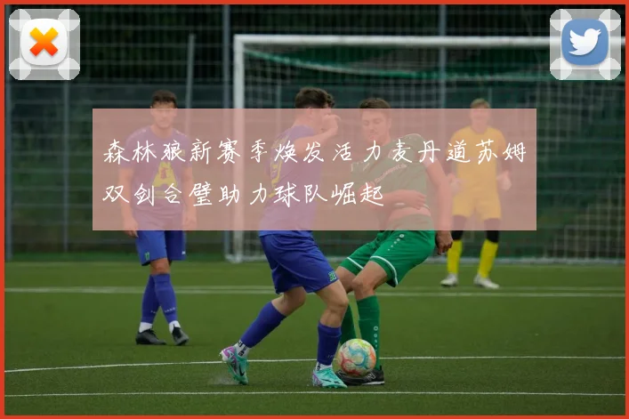 森林狼新赛季焕发活力麦丹道苏姆双剑合璧助力球队崛起