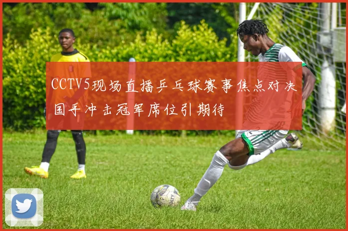 CCTV5现场直播乒乓球赛事焦点对决国手冲击冠军席位引期待